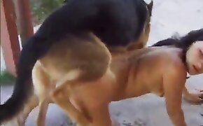 beautiful, brunette babes zoophils